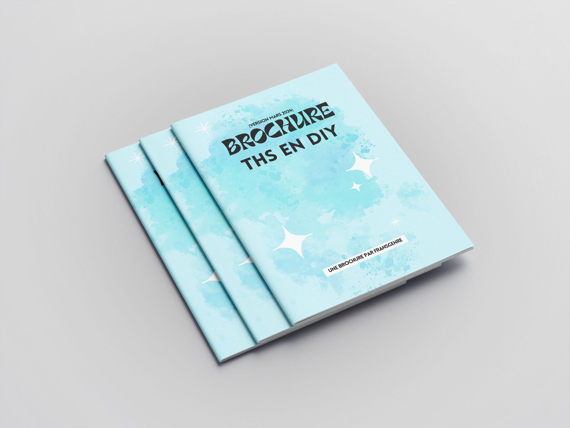 trois brochure "ths en diy" les unes sur les autres.